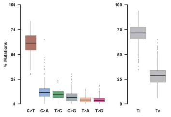 Ti and Tv rates in PDAC