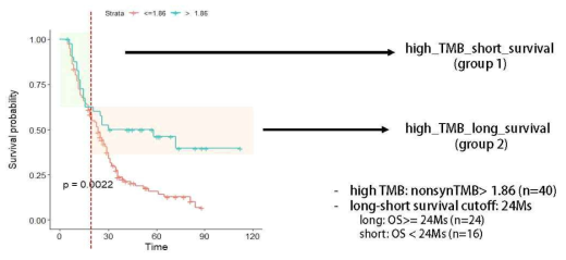 high TMB short survival vs. high TMB long survival