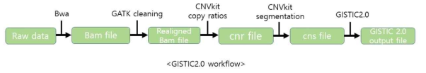 Copy Number Variation Analysis