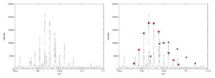 RAPID로 예측한 isotope cluster