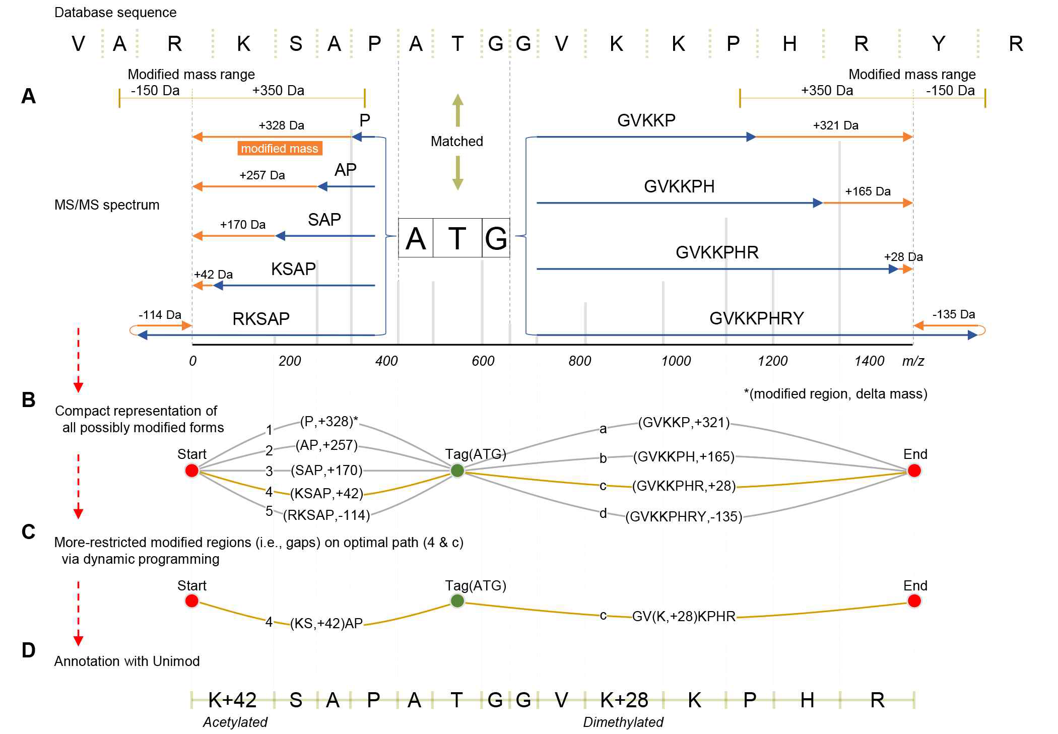 MODplus의 PTM annotation 알고리즘