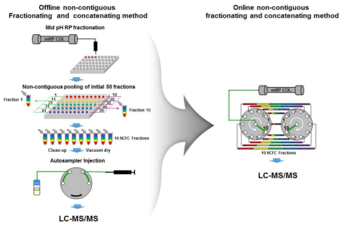 ‘비연속적 시료 분획 및 통합‘ 기술을 적용한 온라인 이차원 LC 기술 모식도