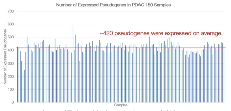 샘플별로 발현되는 pseudogene 전사체 분포