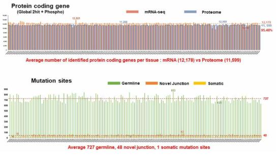 췌장암 조직시료별 단백질 정보로 확인된 gemline, novel junction 그리고 somatic mutation