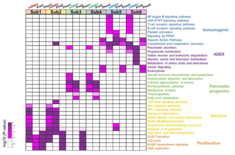 Functional enrichment analysis