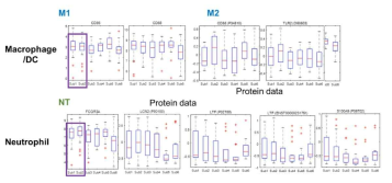 Macrophage/DC, neutrophil marker들의 subtype 별 발현