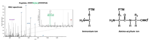 Acentylated lysine의 immonium ion peak(왼쪽) immonium ion과 그의 amino-acylium ion의 화학적 구조(오른쪽)