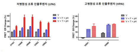 고/저병원성 조류 인플루엔자 바이러스와 고안한 나노구조체와의 반응성