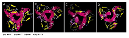 H7N9 헤마글루티닌과 알비돌-형광염료 결합체의 결합 가능성 예측 시뮬레이션