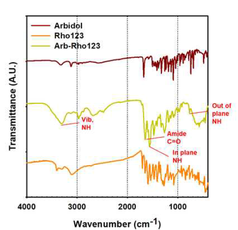 FT-IR을 통한 Arb-Rho123 합성 확인