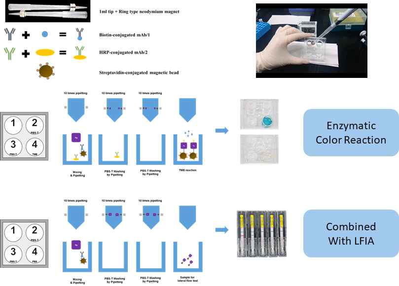 피펫팅을 활용한 자성입자-바이러스 복합체 분리 방법의 다양한 적용