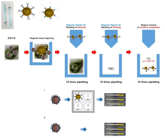 시료 전처리 기법 검증을 위한 Lateral flow System 활용 전략