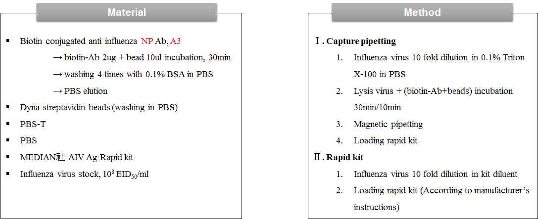 인플루엔자 NP 단백질 Capture 기반 전처리 방법