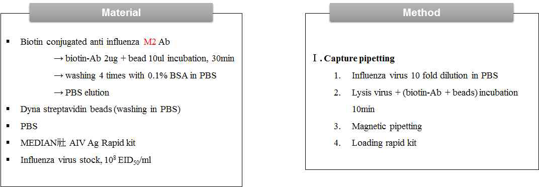 M2e 항체 기반 인플루엔자 바이러스 Capture 기반 전처리 방법