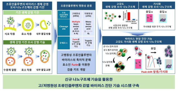 본 세부 과제의 핵심 개념도