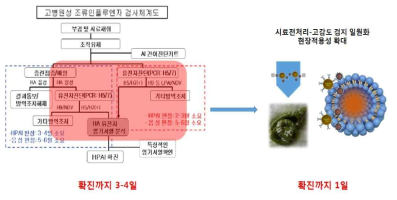 고병원성 AI 현장 감별 기법 개발을 통한 확진 시간 단축