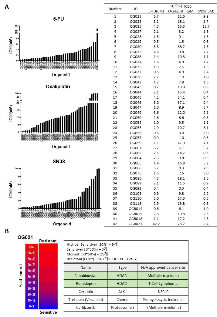 항암제에 대한 오가노이드의 반응성 및 Drug screening 결과 (A) 5-FU, Oxaliplatin, SN38 항암제에 대한 오가노이드 반응성 (IC50) (B) 대장암 오가노이드를 이용한 133종 NCI`s cancer drug을 스크리닝 및 적합한 표적항암제를 제시