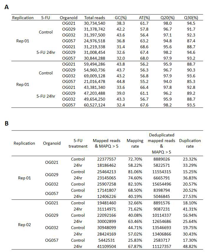 오가노이드에 대한 ATAC-seq (A) ATAC-seq raw data QC (B) ATAC-seq 데이터 mapping 및 alignment 결과