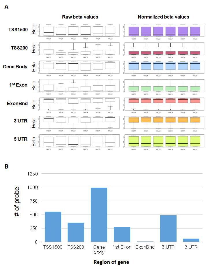 DNA methylation beta value 정규화 및 패턴 분석