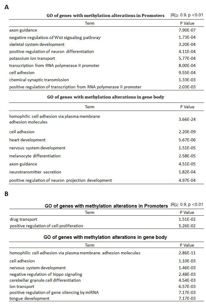 오가노이드에서 발굴된 약물 반응성과 연관성이 있는 DNA methylation 부분의 GO 분석 (A) Passage 3 오가노이드 (B) Passage 5 오가노이드