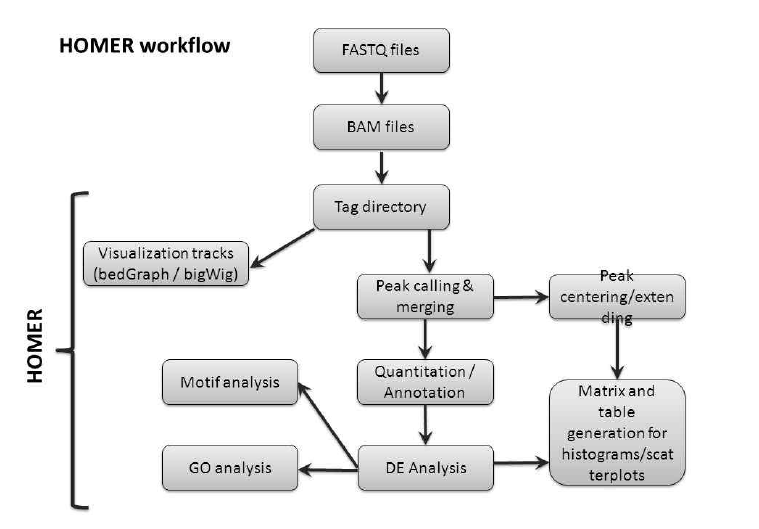 HOMER workflow