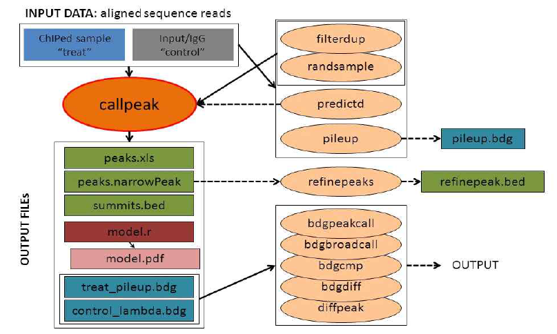 MACS2 peak calling pipeline