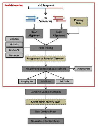 Hic-pro workflow