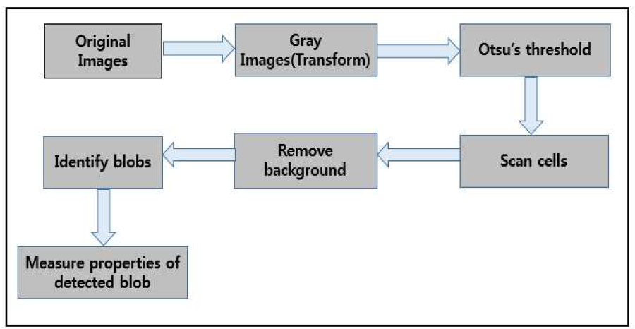 Cellprofilie detection 흐름도