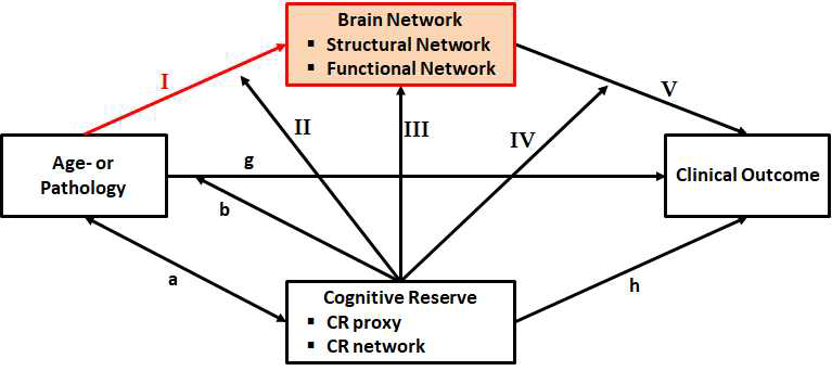 Brain Network