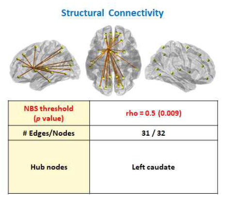 Structural Connectivity(1)