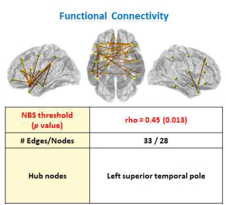 Functional Connectivity(2)