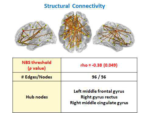 Structural Connectivity(3)