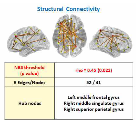 Structural Connectivity(4)