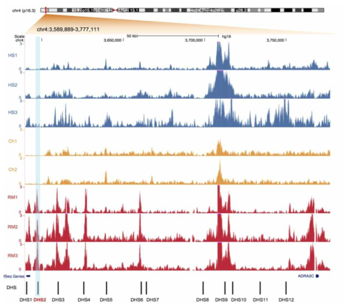 UCSC genome browser를 이용한 후성유전체 데이터 가시화