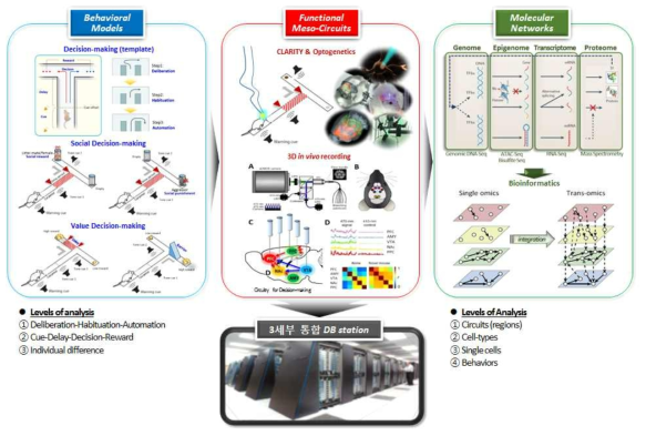 의사결정 메소스케일 신경회로망 기반-분자 네트워크 DB 구축을 위한 2세부 연구 구성도