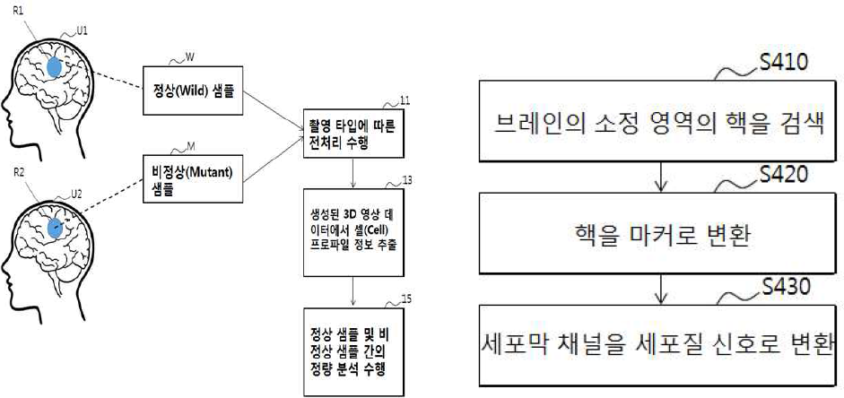 Cell-profiling 검출 방법 설계도