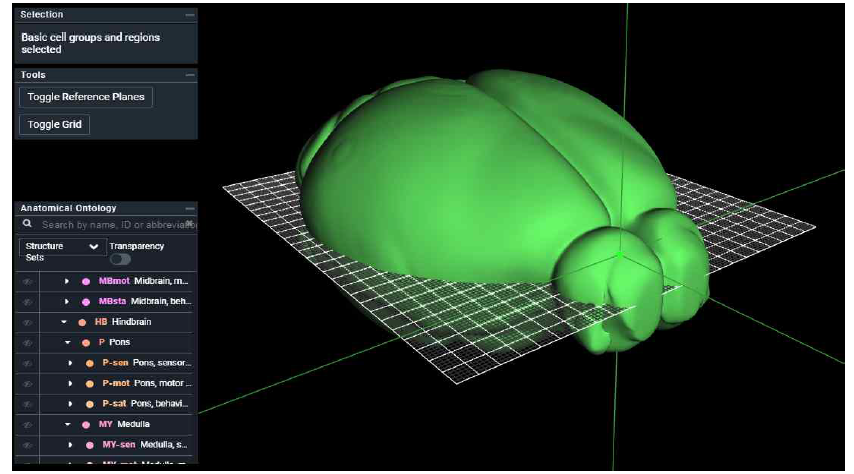 3D Atlas 웹 브라우징 – transparency 비활성화 모드