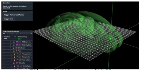 3D atlas 웹 브라우징 – transparency 활성화 모드