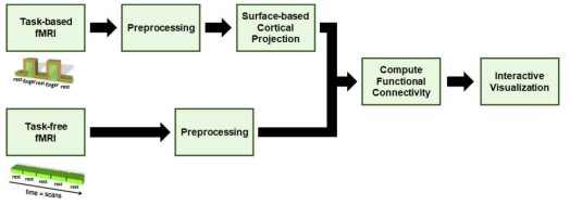 Task-based 및 Task-free 기능적 커넥톰을 시각적으로 분석하기 위한 파이프라인