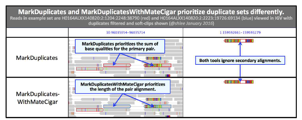 GATK MarkDuplicates 예시