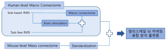 마크로 스케일 뇌 커넥텀과 메조 스케일의 뇌 커넥톰을 통합 분석하기 위한 파이프라인