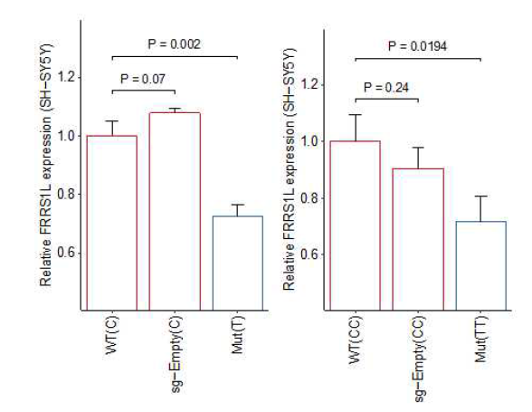 CRISPR / Cas9 실험을 통해 확인한 FRRS1L 유전자 발현의 변화