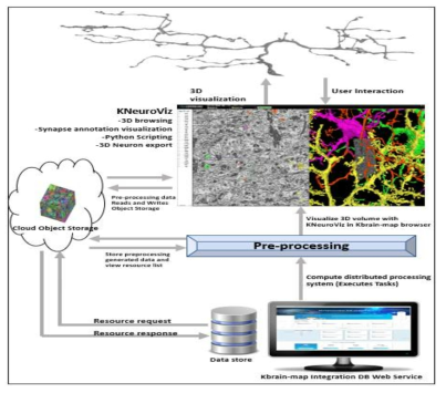 3D 분석 및 가시화를 위한 Interactive KNeuroViz 전체 구조도