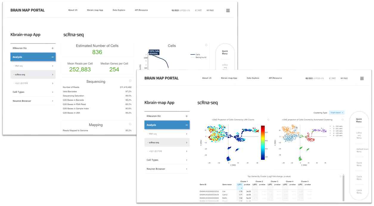 scRNA-Seq Result : Cells count, tSNE Clustering(Graph-based)