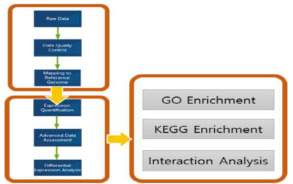 Data Quality control, Alignment, Quantification, Differential Expression Analysis, Downstream Analysis 작업 과정