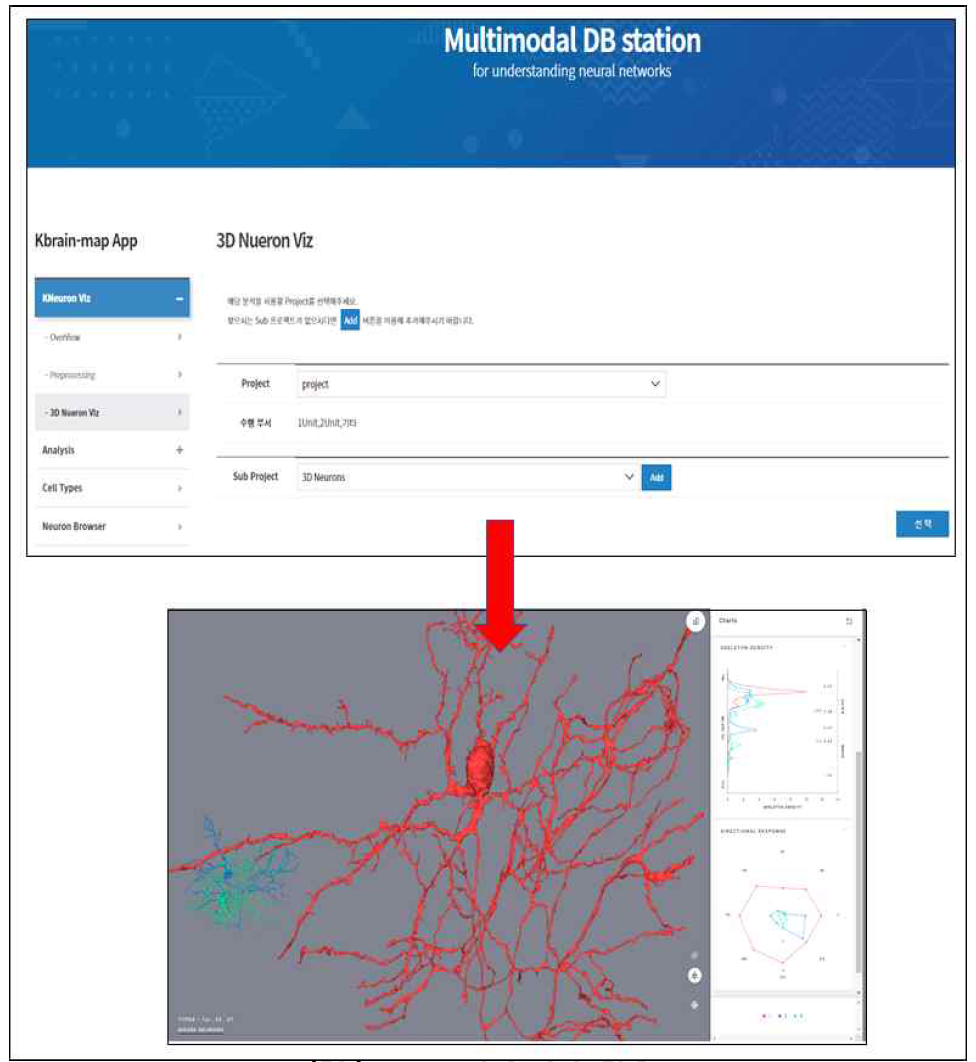 3D Mesh 뉴런 가시화 및 통계정보
