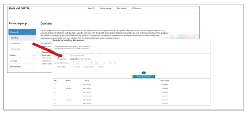 KNeuroViz의 Pre-processing configure 브라우저 창