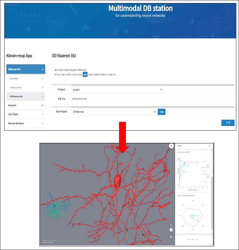 3D Mesh 뉴런 가시화 및 통계정보
