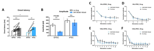 D1의 길항제인 100 uM SKF38393의 EPSC와 IPSC의 크기변화. (A) Onset latency (B)EPSC와 IPSC의 크기변화 (C-F) 고빈도 자극중의 EPSC와 IPSC의 단기가소성. 도파민처리에 의해 EPSC는 유의하게 감소하였으나 도파민에 의한 EPSC혹은 IPSC의 단기가소성의 변화를 크게 관찰하지 못하였음