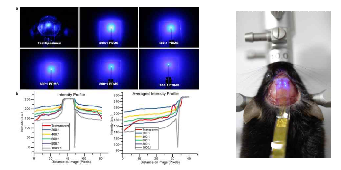 투명화된 설치류 두개골과 phantom skin에 부착한 단일 광자극용 전자피부의 측면 방향으로의 빛 퍼짐 측정 및 분석과 동물 적용